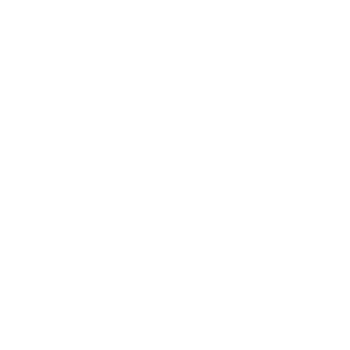 AI Solutions
