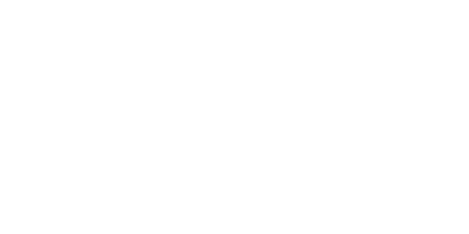 AI Solutions